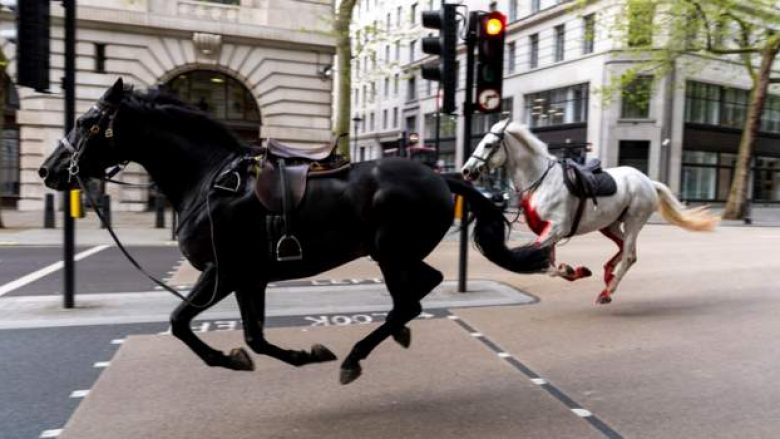 Dramë në Londër, kuajt e arratisur rrëzojnë kalorësit dhe shkaktojnë kaos – lëndohen 4 persona
