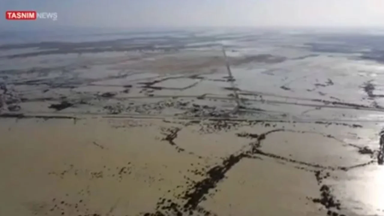 Stuhitë dhe përmbytjet në Iran, autoritetet paralajmërojnë rrezikun e krokodilëve! Po enden lirshëm nëpër rrugë